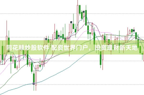 同花顺炒股软件 配资世界门户，投资理财新天地