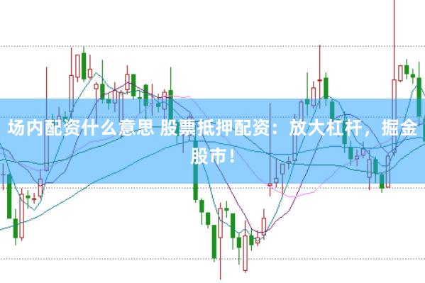场内配资什么意思 股票抵押配资：放大杠杆，掘金股市！