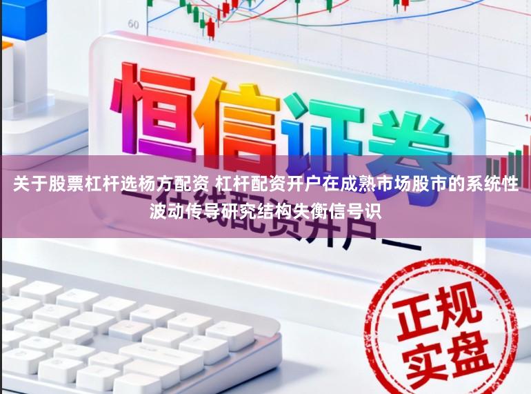 关于股票杠杆选杨方配资 杠杆配资开户在成熟市场股市的系统性波动传导研究结构失衡信号识