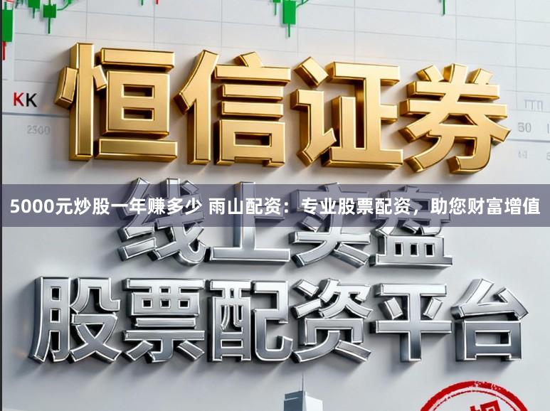 5000元炒股一年赚多少 雨山配资:专业股票配资,助您财富增值
