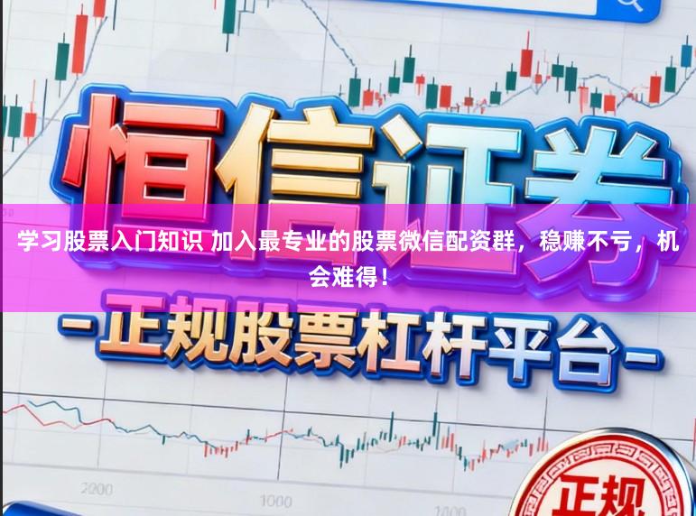 学习股票入门知识 加入最专业的股票微信配资群，稳赚不亏，机会难得！